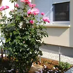 Klimatisiertes In Buekfuerdoe Mit Garten By Interhome * Buk