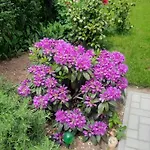 Holiday home Klimatisiertes In Buekfuerdoe Mit Garten By Interhome *