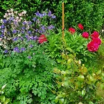 Klimatisiertes In Buekfuerdoe Mit Garten By Interhome *