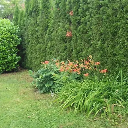 Klimatisiertes In Buekfuerdoe Mit Garten By Interhome *