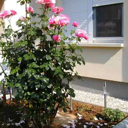Klimatisiertes In Buekfuerdoe Mit Garten By Interhome * Bük