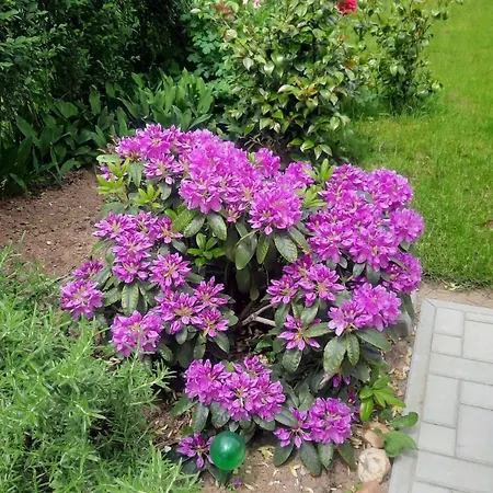 Prázdninový dům Klimatisiertes In Buekfuerdoe Mit Garten By Interhome *